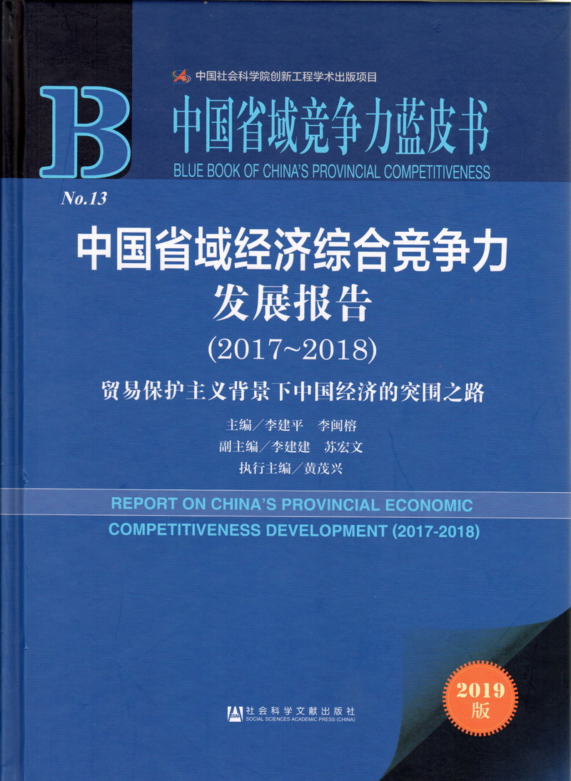 肏逼视频大鸡吧中国省域经济综合竞争力发展报告（2017-2018）